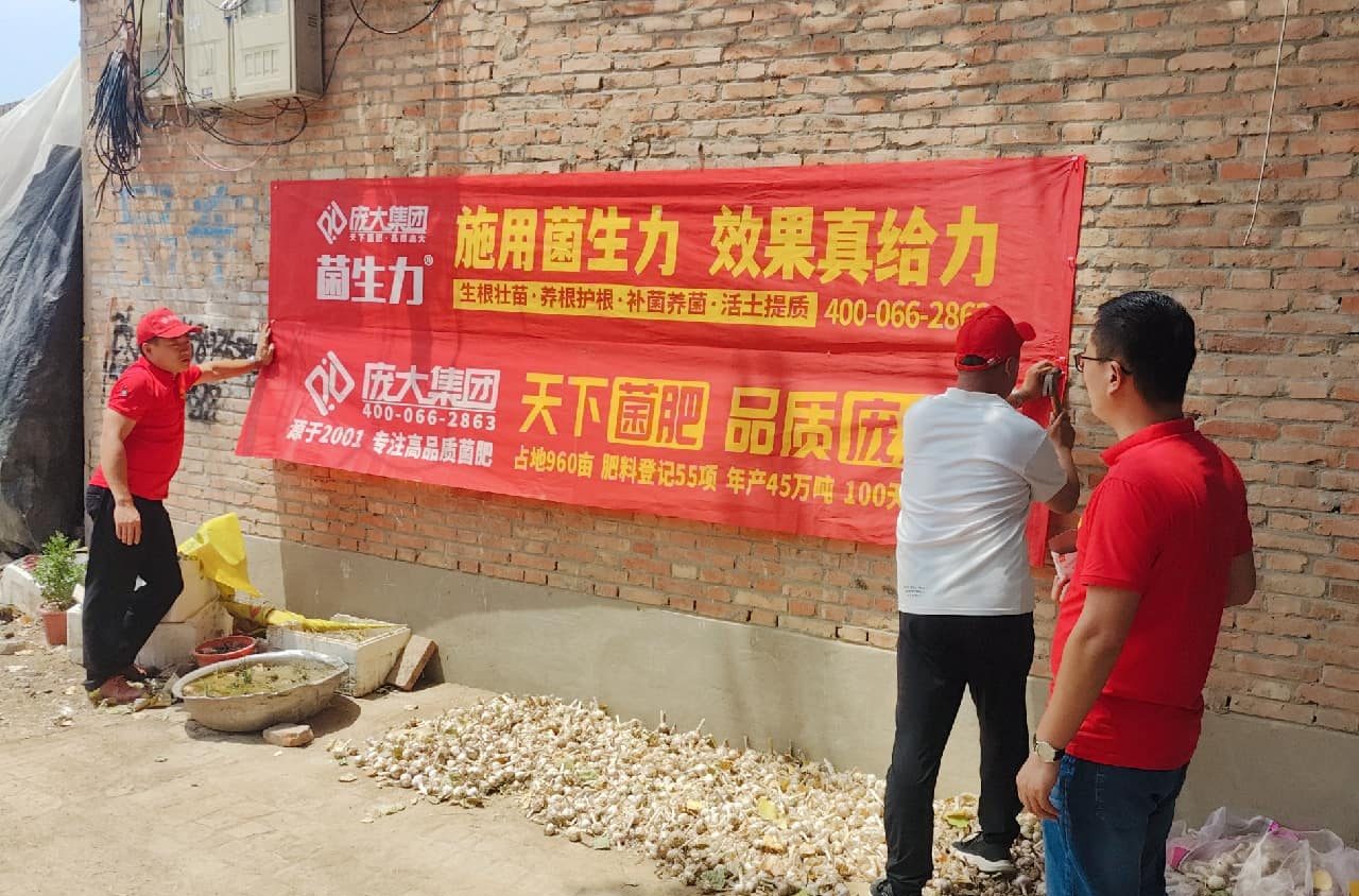 山东庞大集团市场推广服务在行动 山东庞大集团市场推广服务在行动